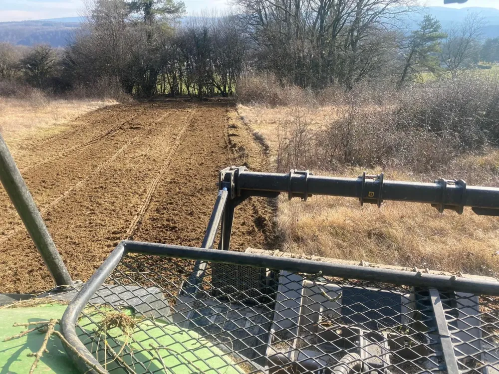 Défrichage à Secenans