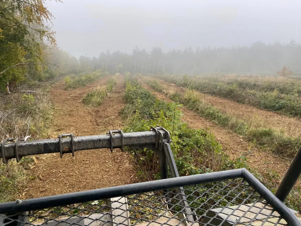 Travaux sylvicoles à Secenans
