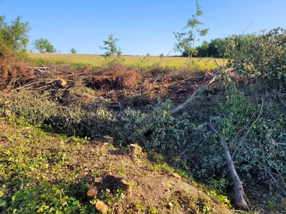 Broyage en plein à Secenans
