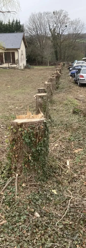 Broyage de souches à Secenans