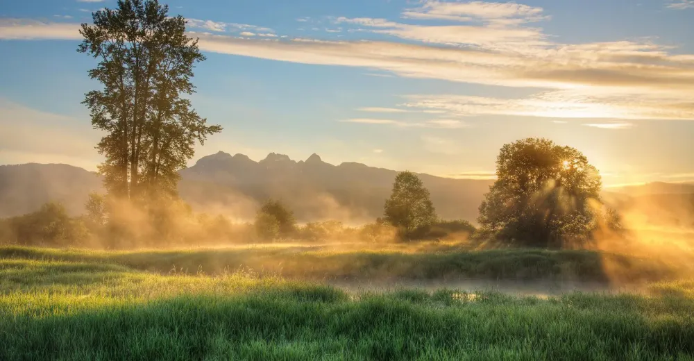 Préparation du sol à Secenans