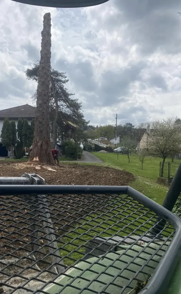 Élagage à Secenans