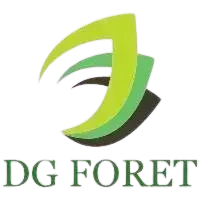 logo de DG Foret logo de DG Foret